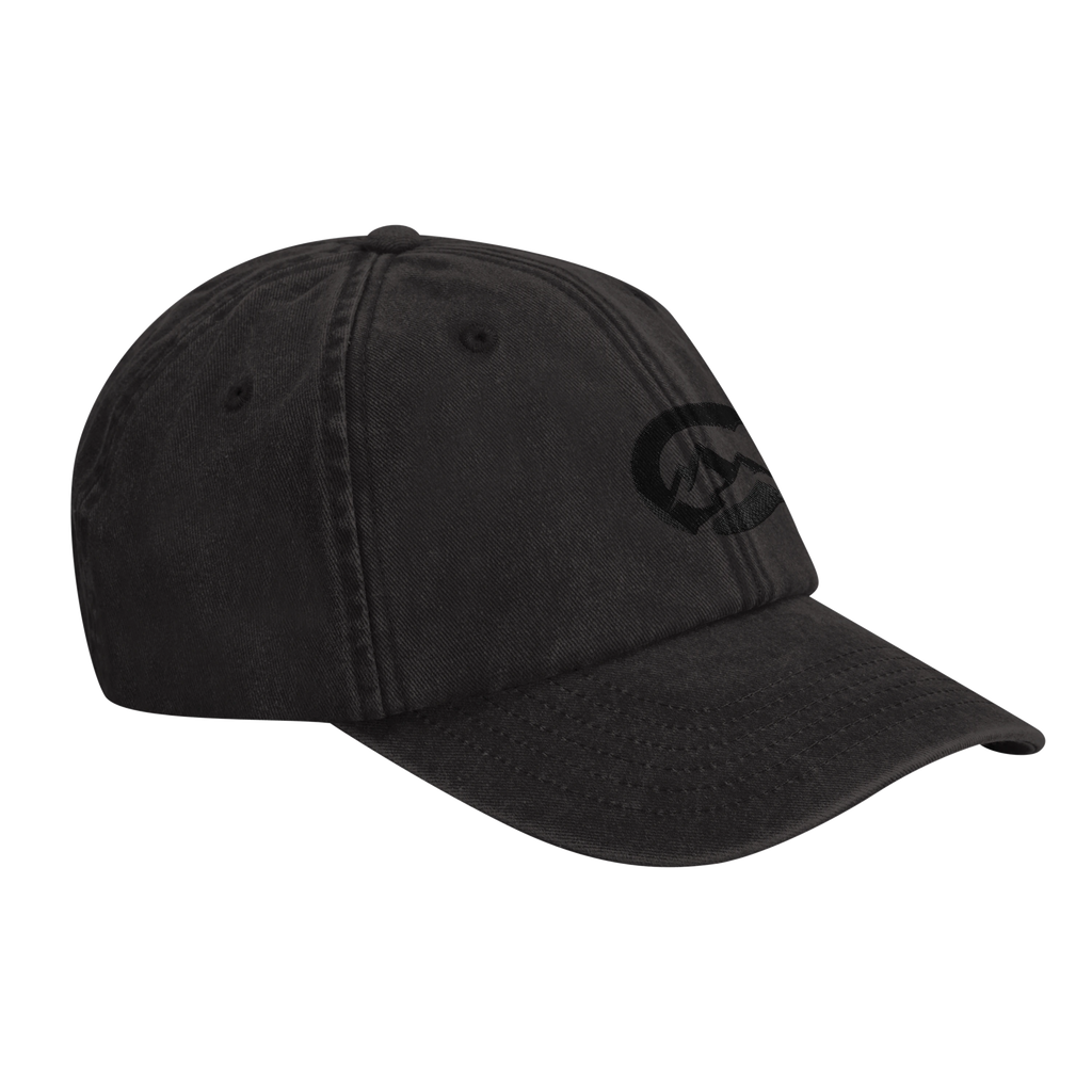 Vintage Cotton Dad Hat | Beechfield B655
